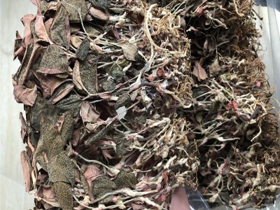 南靖本地红霞金线莲干品 1斤 叶背红 煮水红 整株500克图5