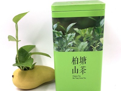 惠州特产散装农产品批发高山绿茶柏塘山茶明前茶叶铁罐盒包装茶叶图5