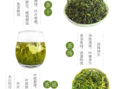 众幸福石芽坝山茶惠州特产高山绿茶罗浮山客家茶叶散装批发汤金福图2