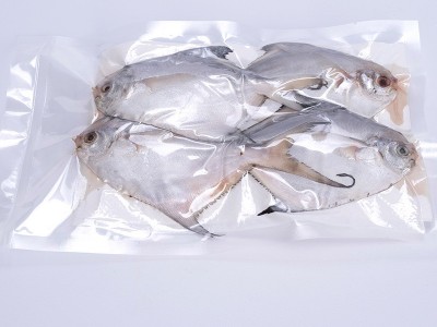 小号银鲳鱼鲜活海捕海鲜新鲜冷冻白鲳鱼鳊鱼平鱼水产批发顺丰冷链图3