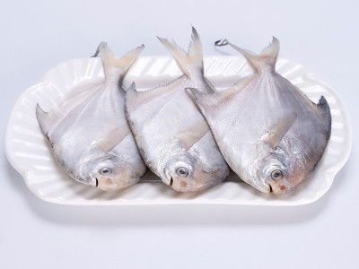 小号银鲳鱼鲜活海捕海鲜新鲜冷冻白鲳鱼鳊鱼平鱼水产批发顺丰冷链图2