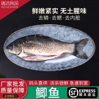 定制淡水鲫鱼三去鲫鱼鲜活现杀炖汤非冷冻新鲜大鲫鱼质量保障