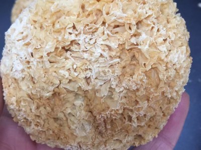 古田丑耳 银耳 雪耳批发整件出图4