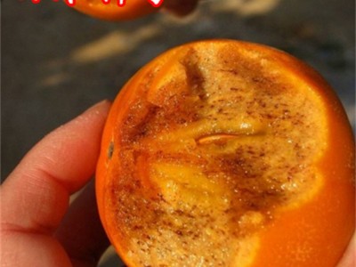新品种嫁接柿子树苗特大苹果柿子树苗果树苗当年结果北方种植盆栽图2