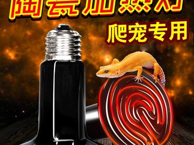 陶瓷加热保温灯 爬虫保温箱 乌龟蜥蜴宠物陶瓷保温灯保温设备图3