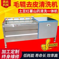 自动土豆去皮毛辊清洗机 萝卜海蛎子清洗机 小型不锈钢牡蛎去泥机