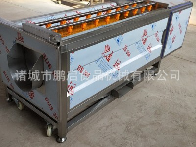 自动土豆去皮毛辊清洗机 萝卜海蛎子清洗机 小型不锈钢牡蛎去泥机图3