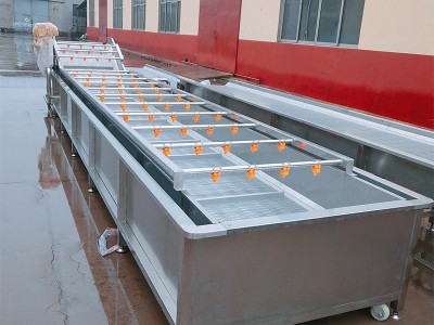 全自动商用果蔬清洗机 多功能水果气泡清洗机 冲浪式蔬菜清洗机图3
