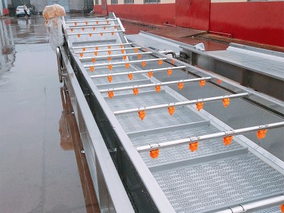 全自动商用果蔬清洗机 多功能水果气泡清洗机 冲浪式蔬菜清洗机图5