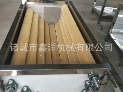 自动洗生蚝机 硬毛辊去泥清洗生蚝设备 不锈钢喷淋洗生蚝XY-0032图2
