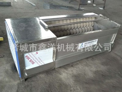 自动洗生蚝机 硬毛辊去泥清洗生蚝设备 不锈钢喷淋洗生蚝XY-0032图5