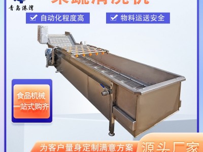 预制菜加工设备 喷淋式果蔬清洗机设备 大姜竹笋全自动气泡清洗机图2