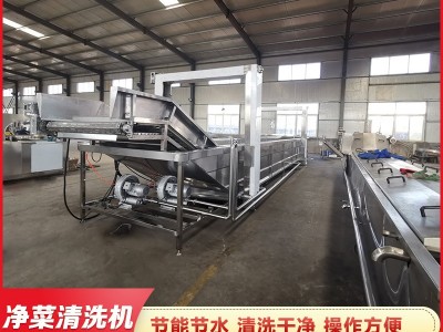 预制菜加工设备 喷淋式果蔬清洗机设备 大姜竹笋全自动气泡清洗机图4