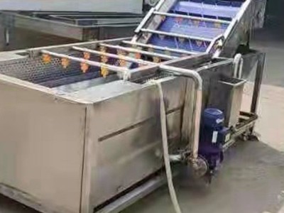 筷子 气泡清洗机叶类蔬菜清洗果蔬清洗土豆萝卜 清洗干净省时省力图2