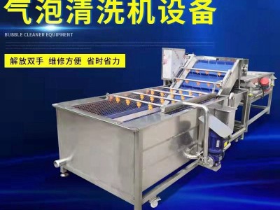 筷子 气泡清洗机叶类蔬菜清洗果蔬清洗土豆萝卜 清洗干净省时省力图1