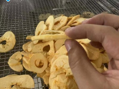 果蔬脆片变温膨化设备 苹果脆FD真空膨化机器 新迈提供工艺指导图2
