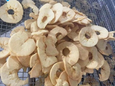 果蔬脆片变温膨化设备 苹果脆FD真空膨化机器 新迈提供工艺指导图3