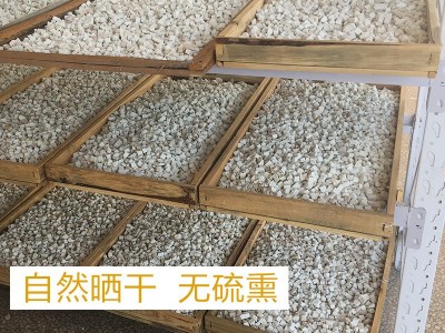 云南原产地茯苓滇白茯苓云苓丁茯神中药材茯苓1kg图2