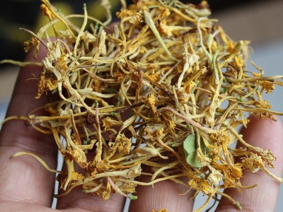 云南哀牢山金银花金银花花茶泡水喝宝宝洗澡100克图3