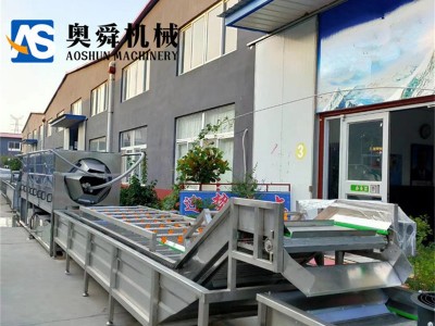 厂家供应核桃仁去皮机 旋转核桃仁脱皮机 全自动核桃仁脱皮流水线图4