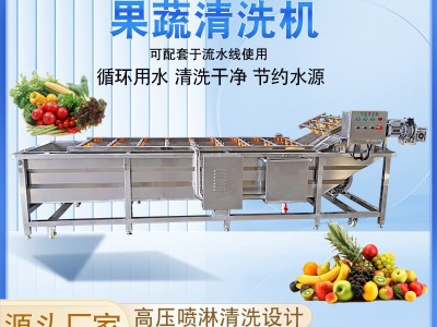 商用车厘子果蔬清洗机 全自动气泡清洗机 高压喷淋大姜洗菜机图2