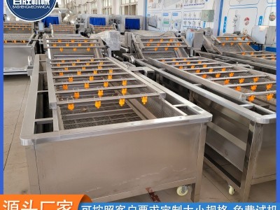 商用车厘子果蔬清洗机 全自动气泡清洗机 高压喷淋大姜洗菜机图3