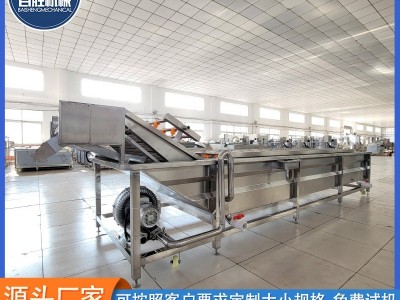 商用车厘子果蔬清洗机 全自动气泡清洗机 高压喷淋大姜洗菜机图5