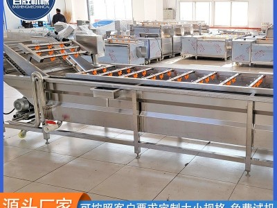 商用车厘子果蔬清洗机 全自动气泡清洗机 高压喷淋大姜洗菜机图4