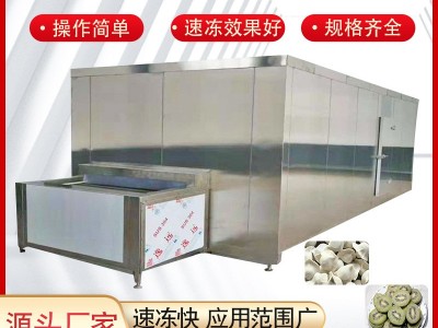 商用隧道式速冻机盒饭预制菜速冻设备水饺汤圆豆沙包食品速冻机图2