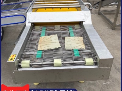 粽叶清洗机 全自动洗荷叶芦苇叶机器 芭蕉叶清洗设备粽子深加工图4