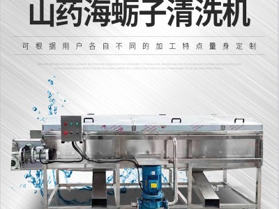 海蛎子生蚝清洗机 田螺扇贝去泥清洗设备 不锈钢毛辊清洗机图2