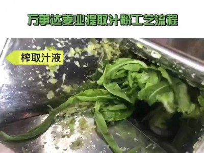 SC认证西蓝花粉工厂批发食品级西兰花粉纯粉固体饮料原料免费拿样图2