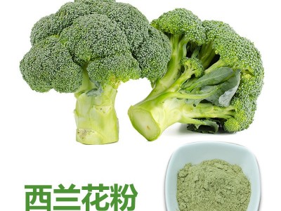 SC认证西蓝花粉工厂批发食品级西兰花粉纯粉固体饮料原料免费拿样图4