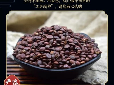 批发供应酸枣仁中药材枣仁炒酸枣仁炒枣仁一手货源量大从优图4