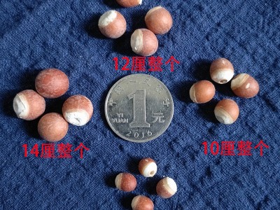 产地供货广东肇庆芡实 现货批发五谷杂粮广东芡实米 散装鸡头米图5