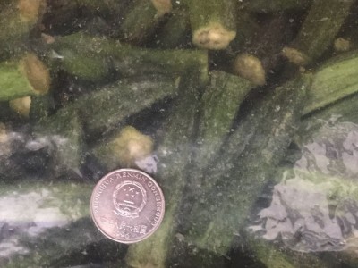 脱水果蔬脆酥脆黄秋葵干四斤一箱批发散装果蔬干休闲零食图4
