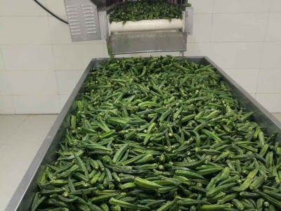 脱水果蔬脆酥脆黄秋葵干四斤一箱批发散装果蔬干休闲零食图5