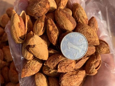 新货纯薄壳NP巴旦木5KG一箱十斤招代理实体店批发图4