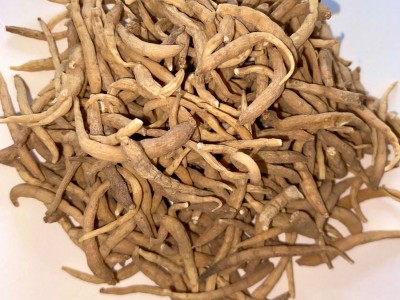 产地货源 批发中药材太子参 新货太子参 各种规格 常年供应大货图2