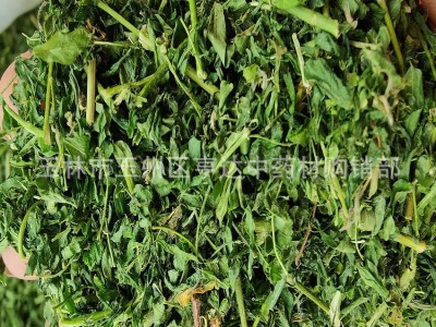 产地一手货源相思藤茶 鸡骨草茶 巴马藤茶直接泡水图2