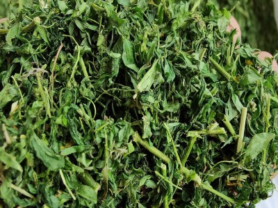 产地一手货源相思藤茶 鸡骨草茶 巴马藤茶直接泡水图5