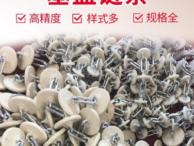 批发养殖设备塞盘链条 养猪设备尼龙塞片6.0链条 料线塞盘链条图2