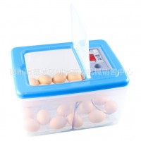 伊科贝特家庭用小型多功能鸡鸭鹅鹦鹉孵化器水床孵化机20枚孵化箱