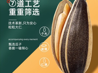 陈皮瓜子批发 内蒙古葵花籽办公室休闲零食大颗粒瓜子500g/袋瓜子图3