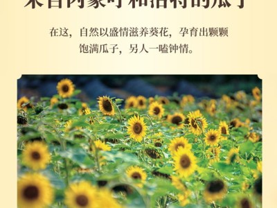 散装瓜子批发5斤袋装中颗粒瓜子五香葵花籽大瓜子原味瓜子批发图4