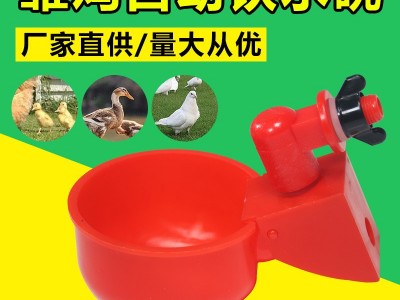 批发雏鸡鸭鹅喂鸽子水碗鸽用饮水器鹌鹑养鸡自动饮水碗鸡饮水用品图2