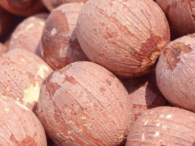 莲子批发药食同源带芯红莲子500克干货生莲子网红红皮带芯莲子图3