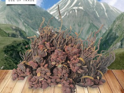 厂家提供灵芝 产地供应灵芝 可根据要求定制加工图5