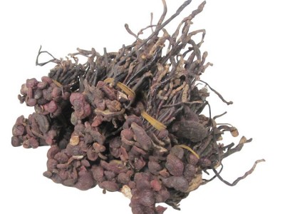 厂家提供灵芝 产地供应灵芝 可根据要求定制加工图4
