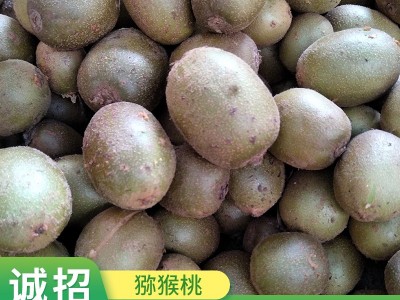 宜昌产地直发绿心米良猕猴桃新鲜当季应季猕猴桃奇异果散装批发图3